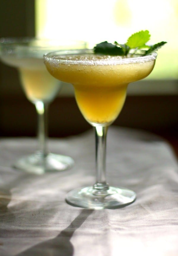 Tropical Margarita Slush lowcarbology